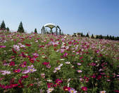 tkf003_556982