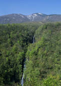 tkf003_556985
