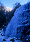 tkf003_556989