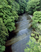 tkf003_556990