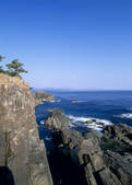 tkf003_556991