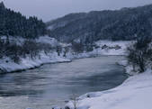 tkf003_556997