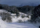 tkf003_556998