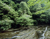 tkf003_557003