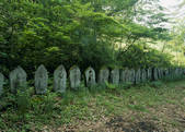 tkf003_557004