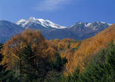 tkf003_557006