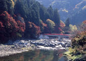 tkf003_557026