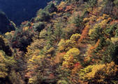 tkf003_557027