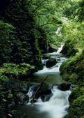 tkf003_557030