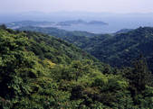 tkf003_557040