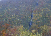 tkf003_557041