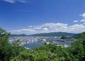 tkf003_557046