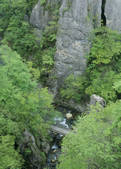 tkf003_557047