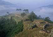 tkf003_557062