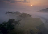 tkf003_557080