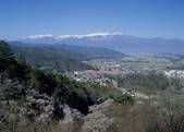 tkf003_557097
