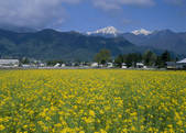 tkf003_557098