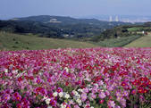 tkf003_557103