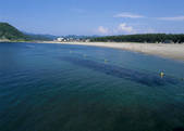 tkf003_557105