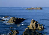 tkf003_557124