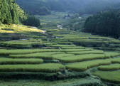 tkf003_557126