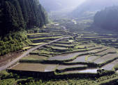 tkf003_557128