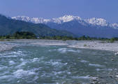 tkf003_557139