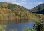 tkf003_557140