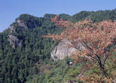 tkf003_557145