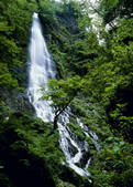 tkf003_557152