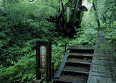 tkf003_557159