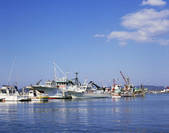 tkf003_557163
