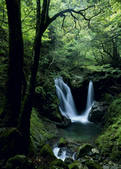 tkf003_557200