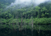 tkf003_557208