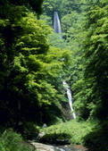 tkf003_557214