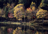 tkf003_557215