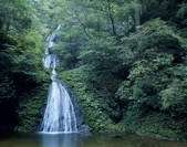 tkf003_557250