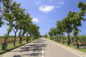 tkf003_557255