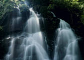 tkf003_557262