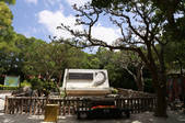 tkf003_557267