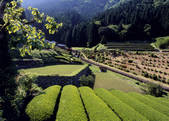 tkf003_557271