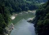 tkf003_557275