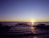 tkf003_557281