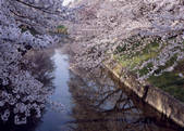 tkf003_557284