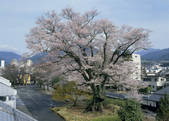 tkf003_557287