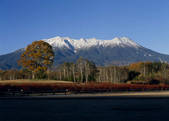 tkf003_557289