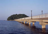 tkf003_557294