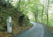 tkf003_557667