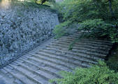tkf003_557946