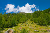 tkf003_560967